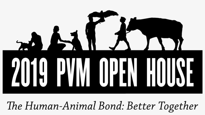 Saturday, April 6th, - Silhouette, transparent png #8991364