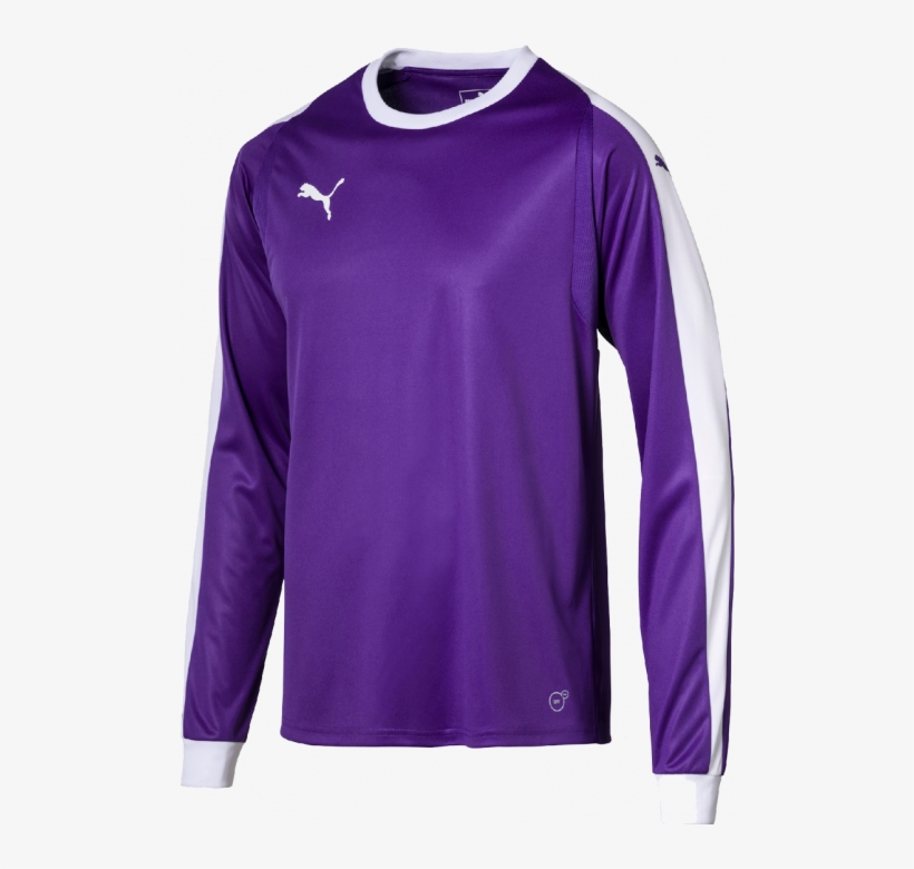 Puma Liga Gk Shirt Youth - Puma Goalkeeper Jersey Youth, transparent png #8991636