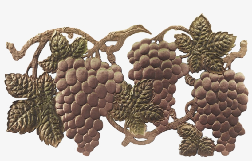 Grape Vine Png - Illustration, transparent png #8992332