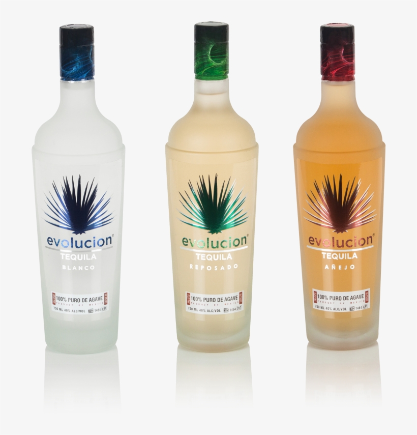 Agave Partners - Menta, transparent png #8992509