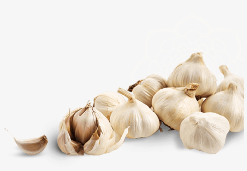 Free Png Garlic Image Png Images Transparent - سیر و سرطان, transparent png #8993151