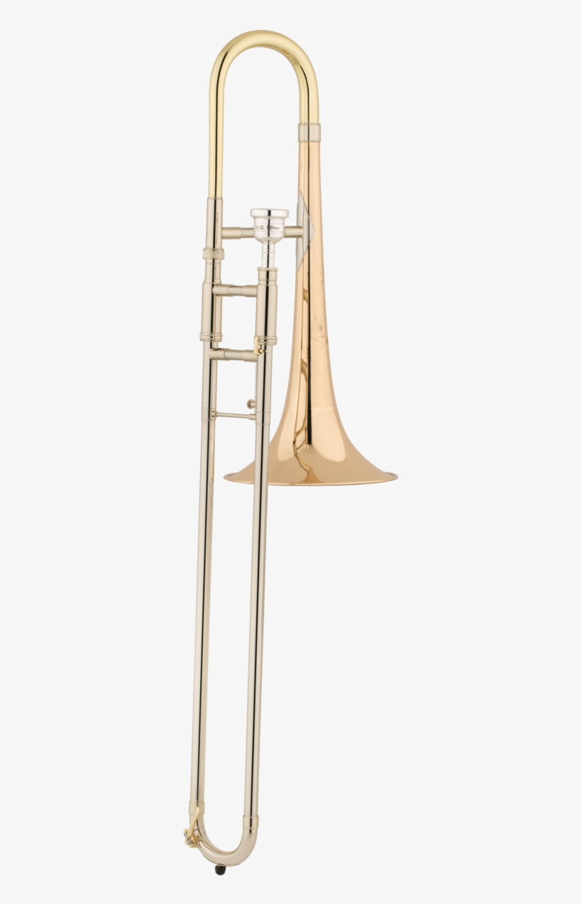 Tbaltgm-shires Medium Gold, transparent png #8993668