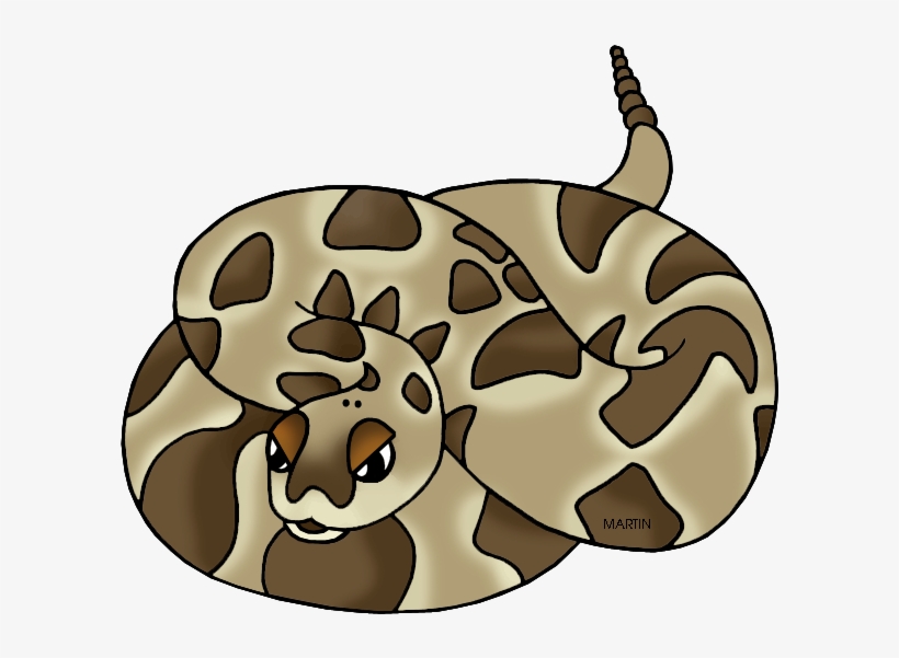 Rattlesnake Clipart Reptile - Reptiles Clipart By Phillip Martin, transparent png #8993900