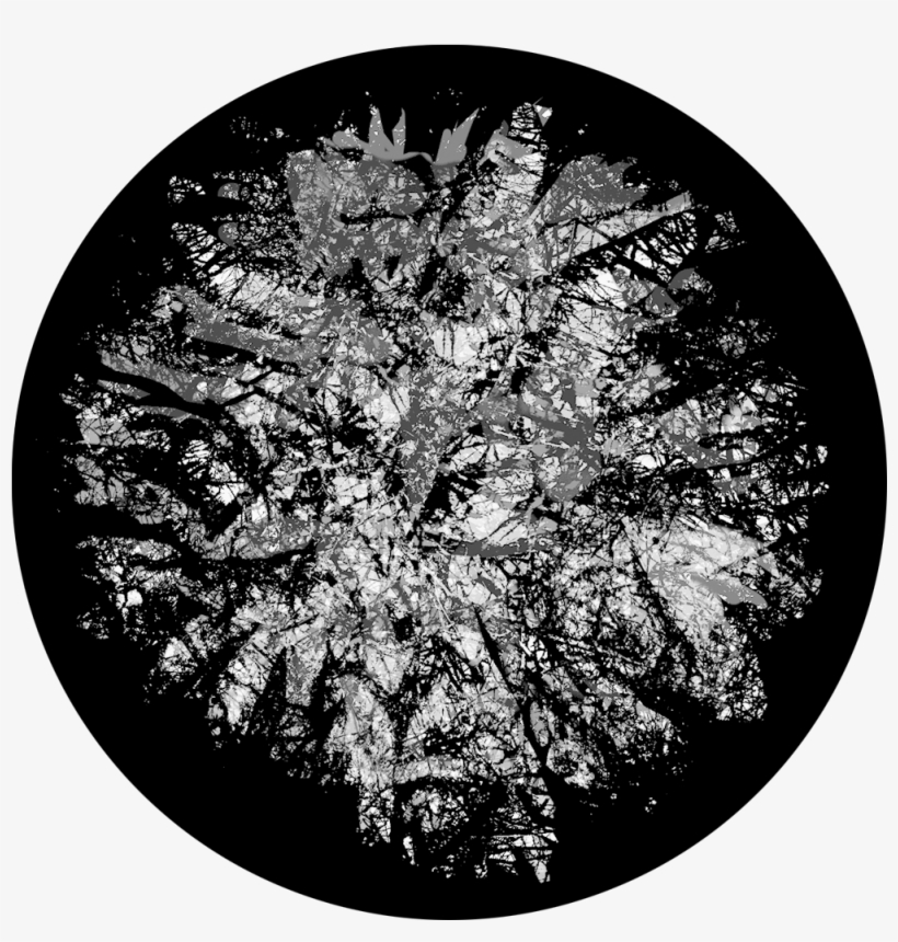 Apollo Design Sr-6210 Thick Canopy B&w Superresolution - Circle, transparent png #8994171