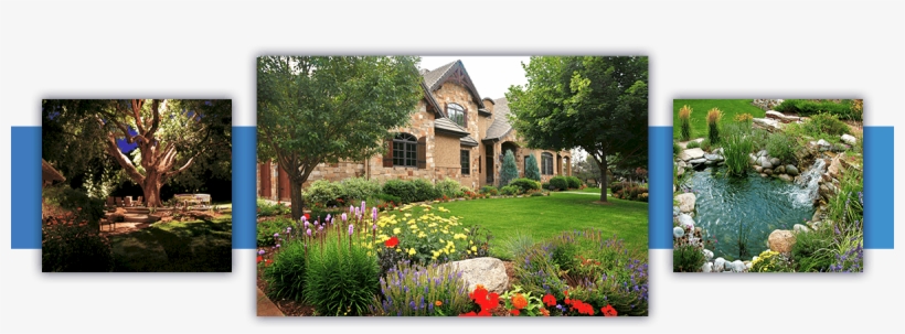 Residential Landscape Design And Construction Timberline - Yard, transparent png #8995183