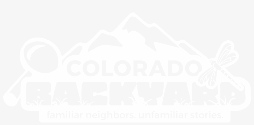 Graphic Design, transparent png #8995327
