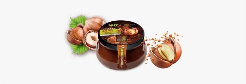 45 % Of Piemont Hazelnuts - Chestnut, transparent png #8995719