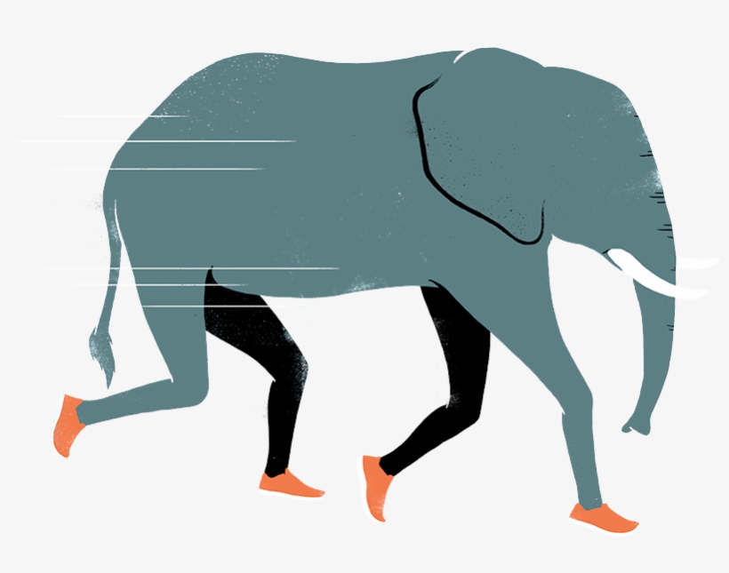 Elephant-home Clipart , Png Download - Indian Elephant, transparent png #8997149