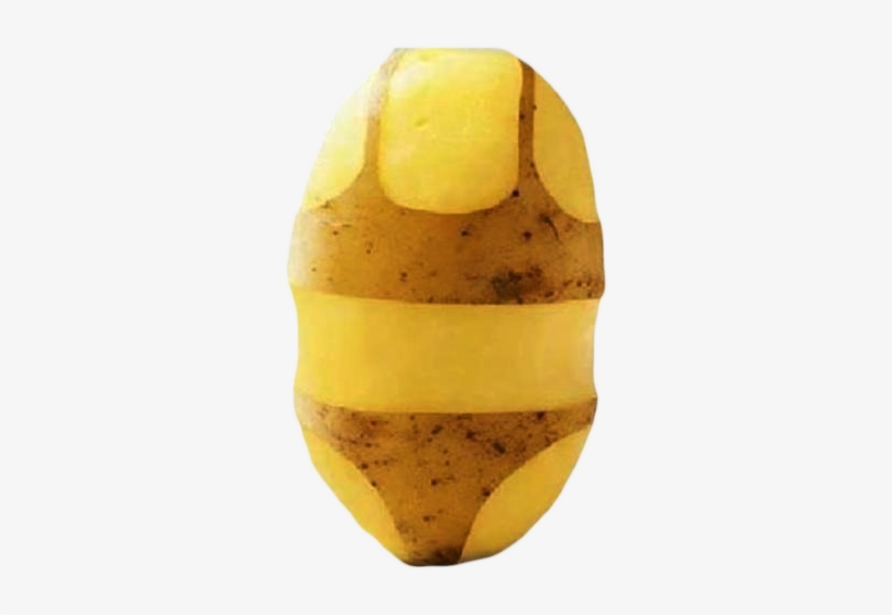 Long Live The Reign Of The Potato - Russet Burbank Potato, transparent png #8997953