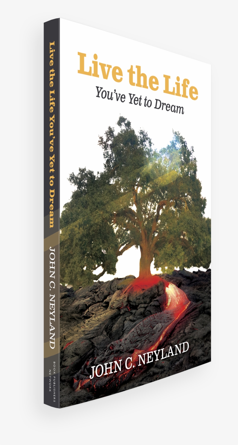 The Book - Redwood, transparent png #8998610