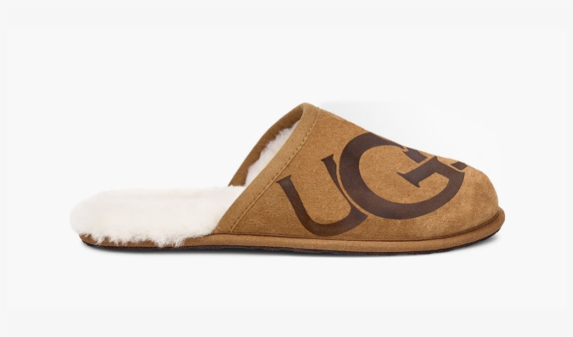 Men Uggs House Shoes, transparent png #8998971