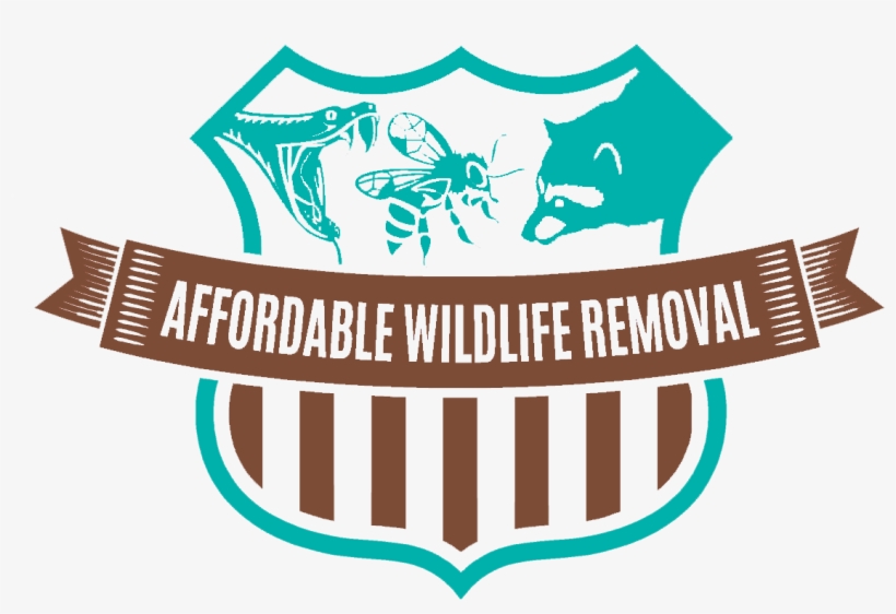 Affordable Wildlife Removal - Emblem, transparent png #8999232
