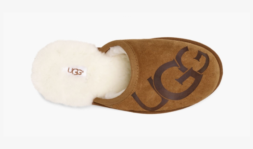 More Views - Suede, transparent png #8999681