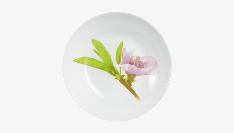 Soup Plate - Water Color Тарелки, transparent png #90016