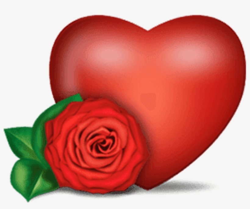 My Image 11