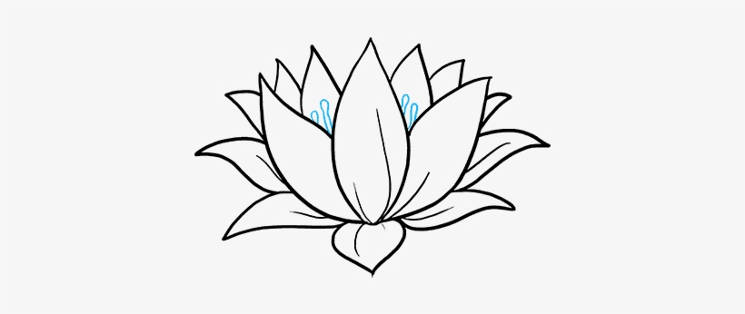 How To Draw A Lotus Flower Really Easy Drawing Tutorial - Lotus Flower Drawing, transparent png #90569