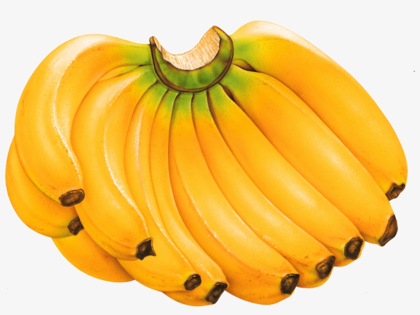 Banana Png Vector Image - Banana Png, transparent png #90625