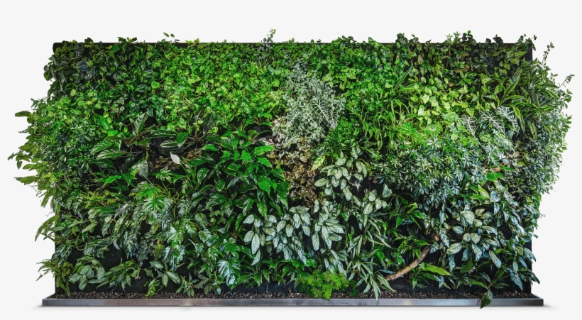 Created To Make You Feel Positively Better - Superpitcher Golden Ravedays 6 Lp, transparent png #90737