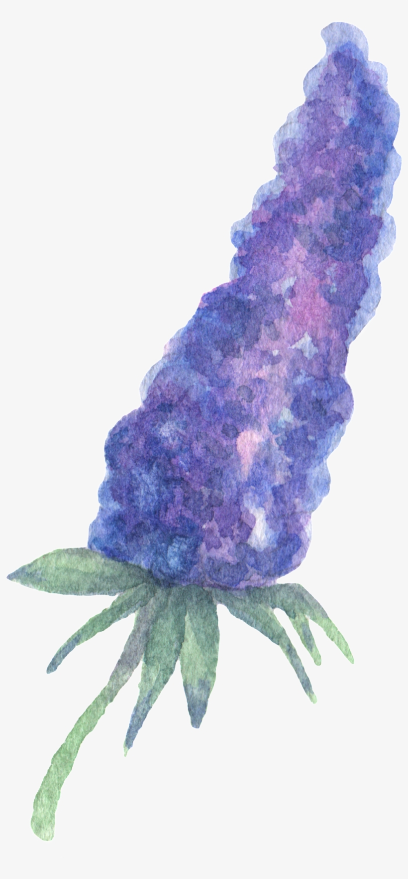Hand Painted Purple Plant Flower Watercolor Transparent - Watercolor Painting, transparent png #90865