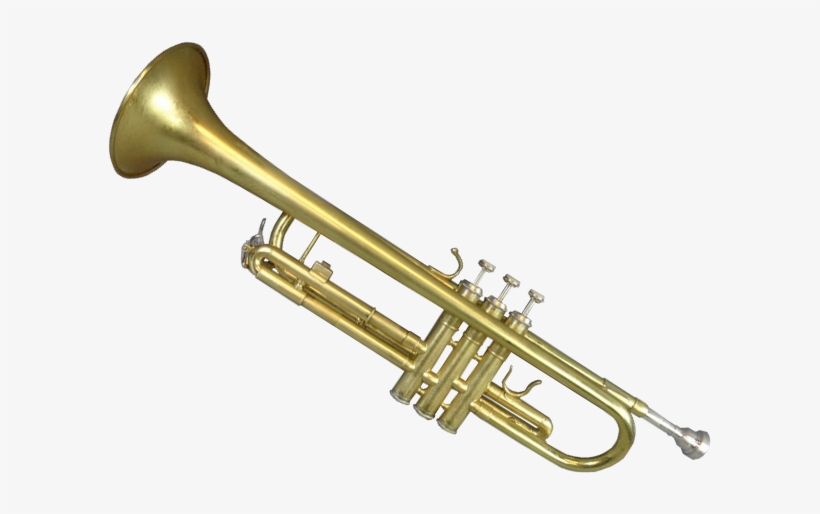 Trumpet Png Free Download - Trumpet Png, transparent png #90910