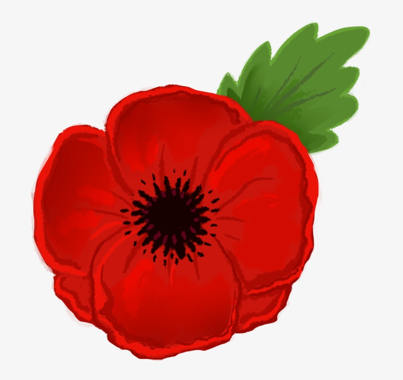 Red Poppy Clipart - Clip Art Remembrance Day Poppy, transparent png #90984