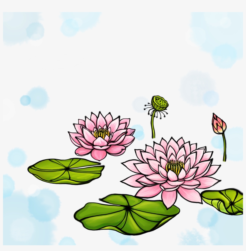 Nelumbo Nucifera Watercolor Painting - 荷花 卡通, transparent png #91627