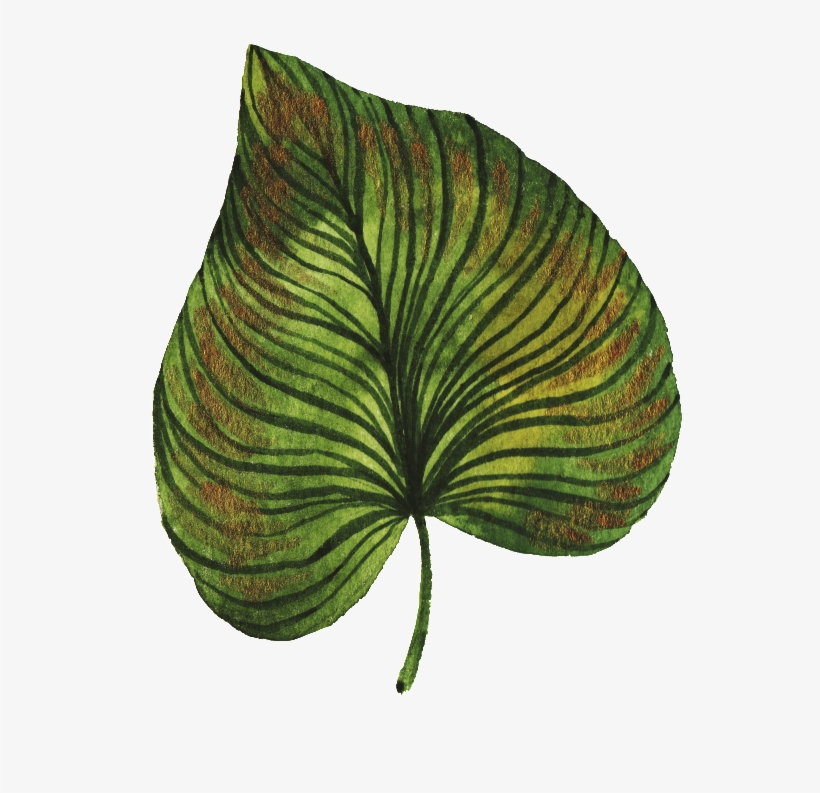 Hand-painted Green Leaves Png Transparent Material - Green, transparent png #91673