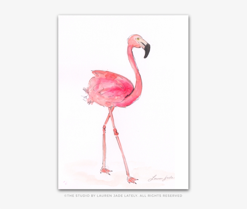 Flamingo Watercolor Illustration The Studio By Lauren - Watercolor Painting, transparent png #91675