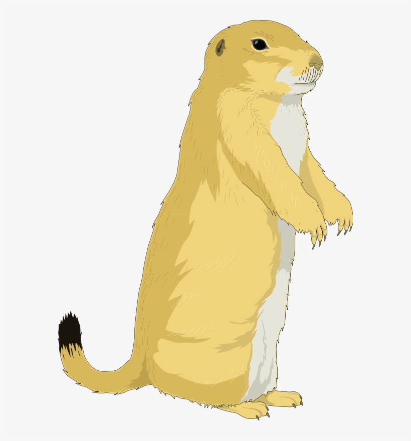 Subterranean Mouse - Prarie Dog Clip Art, transparent png #91853