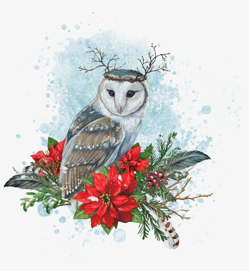 Seasonal Illustrations For Packaging And Merchandising - Barn Owl, transparent png #91929