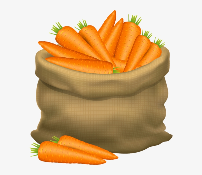 Frutas E Legumes - Basket Of Carrot Cartoon, transparent png #92032