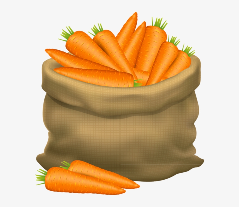 Frutas E Legumes - Basket Of Carrot Cartoon - Free Transparent PNG Download - PNGkey Frutas E Legumes - Basket Of Carrot Cartoon - Free Transparent PNG Download - PNGkey
