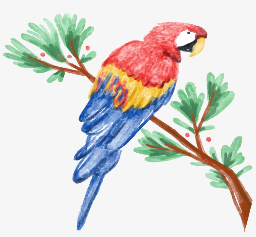 Amazon Parrot Watercolor Painting Illustration - Parrot Watercolor, transparent png #92077