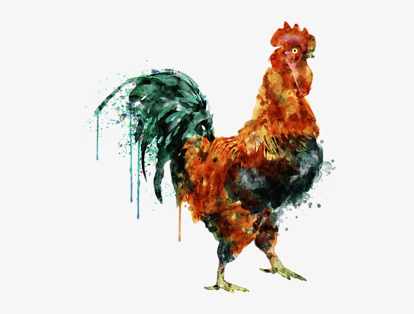 Bleed Area May Not Be Visible - Rooster Watercolor Painting, transparent png #93180