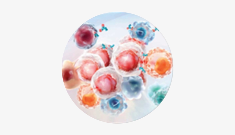 Immuno-oncology - Palette, transparent png #93548