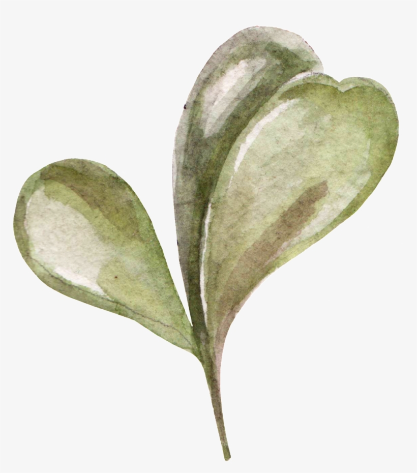 Hand Painted Three Pieces Of Fleshy Transparent Png - Leaf, transparent png #93574