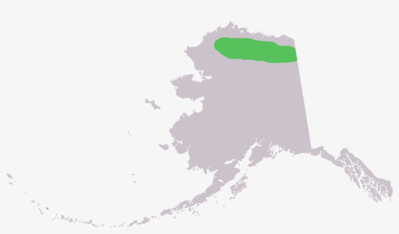 Clip Royalty Free Stock Alaska Vector Watercolor - Alaska Map Black And White, transparent png #93704