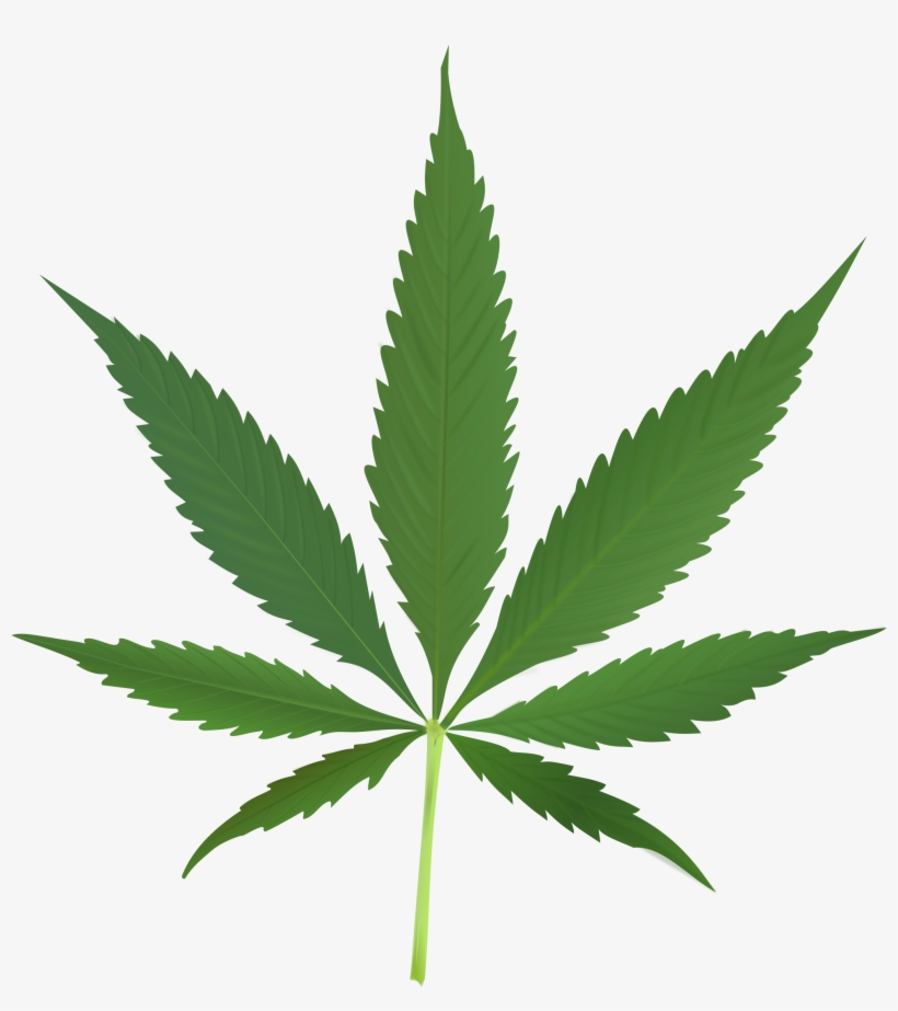 Transparent Leaf Sativa - La Hoja De Marihuana, transparent png #93749