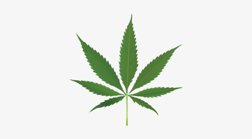 Pot Leaf, transparent png #93770