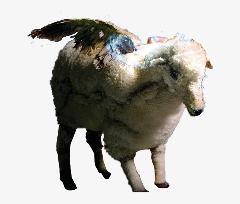Wingedsheep Sheep Infinityonhigh Falloutboy Fob - Fall Out Boy Infinity On High, transparent png #93771