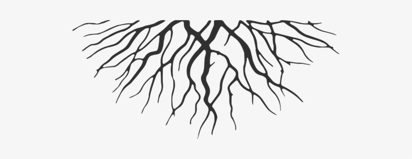 Roots Png - Roots Cartoon, transparent png #94455