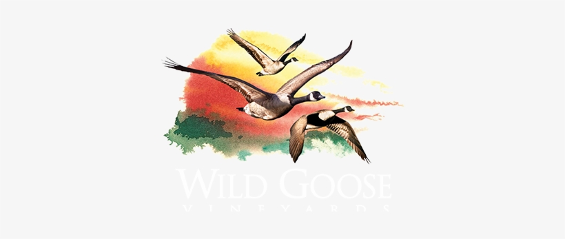 Wild Goose Vineyards - Wild Goose Vineyards & Winery Inc, transparent png #94998