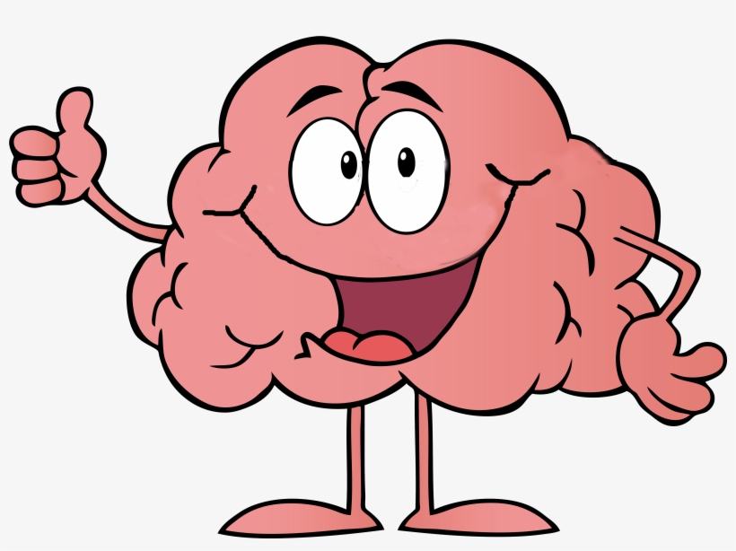 15 Cartoon Brain Png For Free On Mbtskoudsalg - Brain Clip Art, transparent png #95311