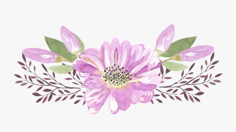 Watercolor Fresh Hand Painted Flowers Free Buckle - African Daisy, transparent png #95401