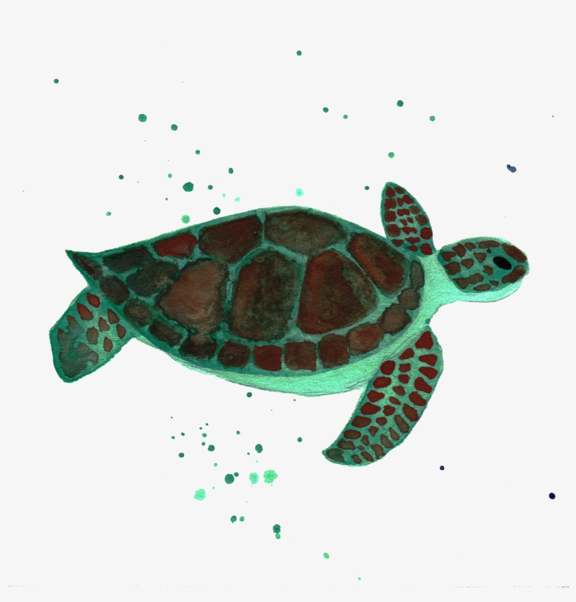 Sea Turtle By Chrystal Elizabeth - Kemp's Ridley Sea Turtle, transparent png #95424