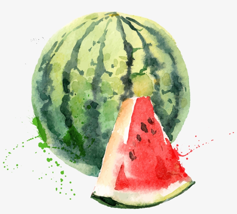 Watermelon 1466*1250 Transprent Png Free Download - Water Colour Fruit And Vege, transparent png #95442