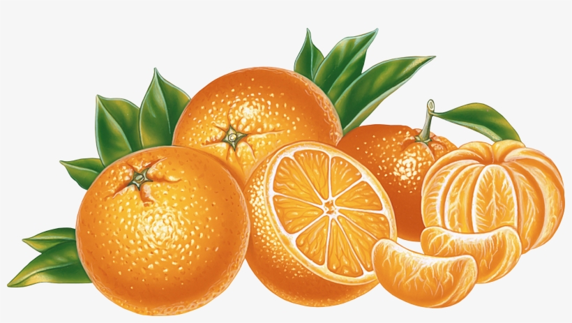Oranges Png Image - Orange Png, transparent png #95467