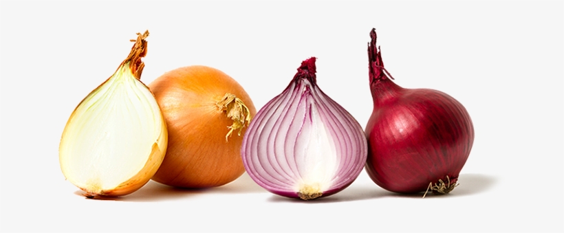 More To Still Life Than Onions - Onion For Hair Growth In Urdu, transparent png #95516