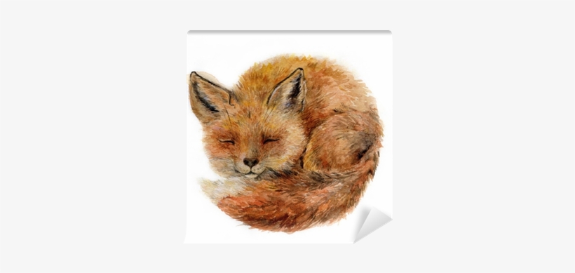 Watercolor Cute Sleepy Fox Isolated On White - Black Forest Decor Baby Fox Indoor/outdoor Pillow, transparent png #95939