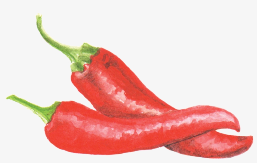 File - 辣椒cayennepepper - Capsicum, transparent png #96027